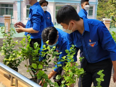 Ra quân trồng cây "Ngày hội Em yêu môi trường xanh" năm học 2021-2022